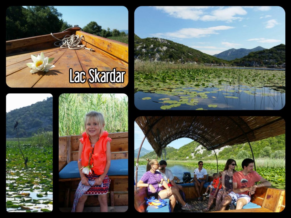 Lac Skadar boat tour Milica Monténégro
